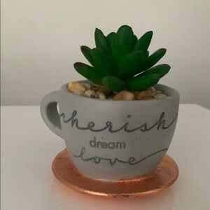 Chic by the Beach Gray and Green Succulent Planter